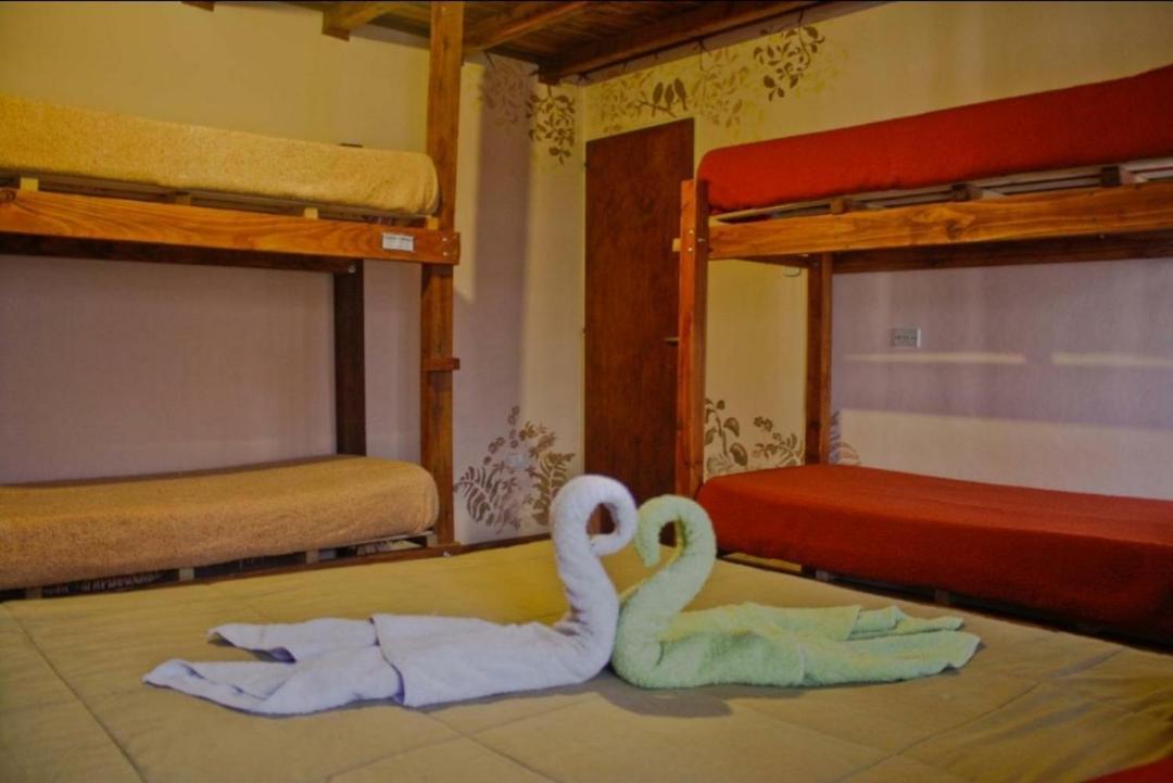 La Casa Del Arbol - Hostel El Bolson Bagian luar foto
