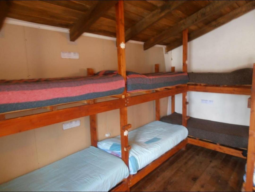La Casa Del Arbol - Hostel El Bolson Bagian luar foto